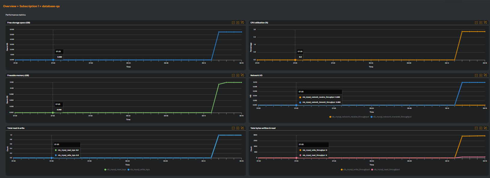 Performance Metrics graph