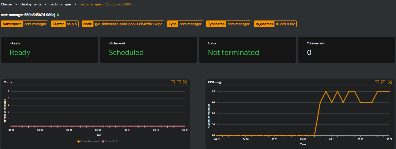 Kubernetes pod details