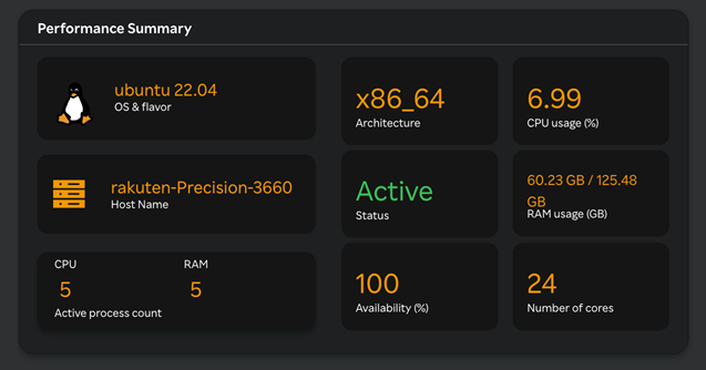 VM - Performance Summary