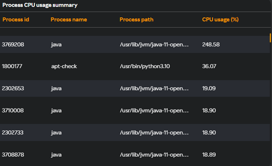 VM - Process CPU usage summary