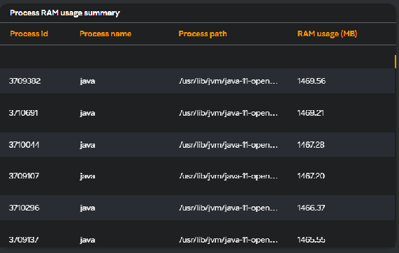 VM - Process RAM usage summary