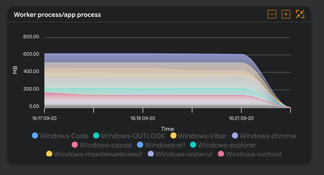 VM - Worker process/app process